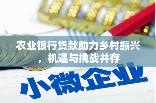 二仑农业银行贷款助力乡村振兴，机遇与挑战并存