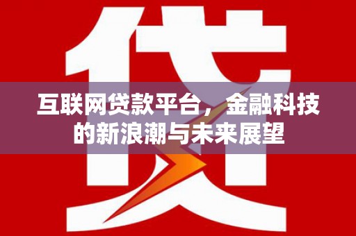 二仑互联网贷款平台，金融科技的新浪潮与未来展望