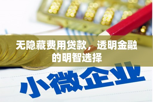 二仑无隐藏费用贷款，透明金融的明智选择