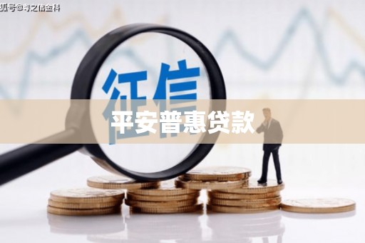 二仑平安普惠贷款