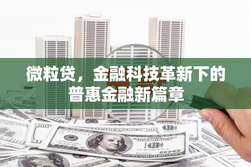 二仑微粒贷，金融科技革新下的普惠金融新篇章