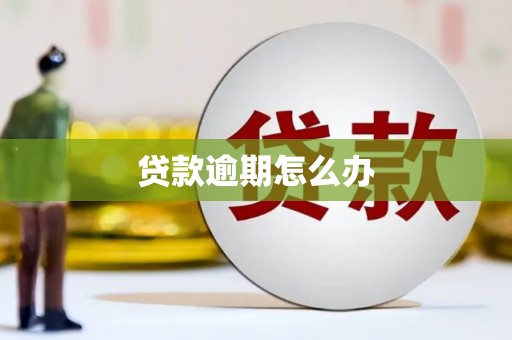 二仑贷款逾期怎么办