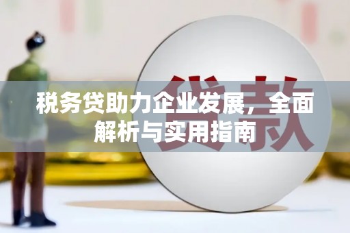 二仑税务贷助力企业发展，全面解析与实用指南