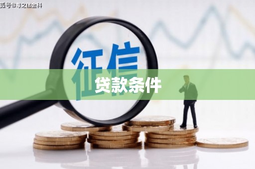 二仑贷款条件