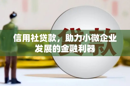 二仑信用社贷款，助力小微企业发展的金融利器