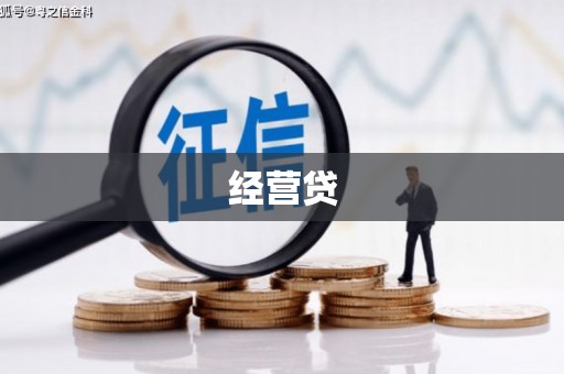 二仑经营贷