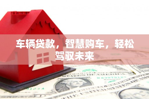 二仑车辆贷款，智慧购车，轻松驾驭未来