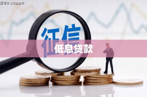 二仑低息贷款