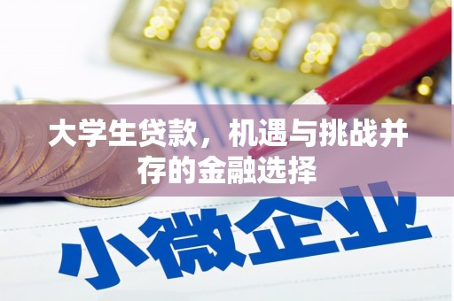 二仑大学生贷款，机遇与挑战并存的金融选择