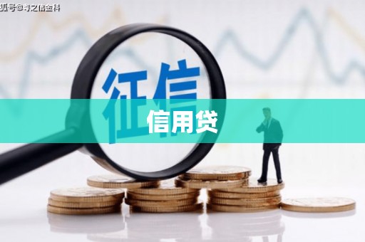 二仑信用贷