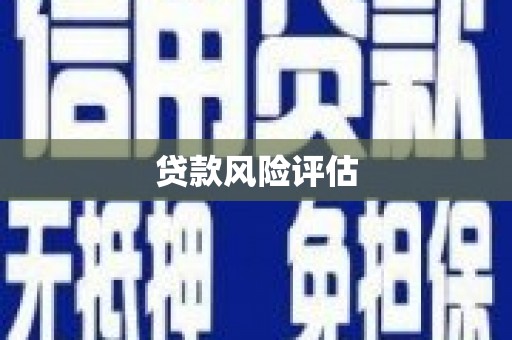 二仑贷款风险评估
