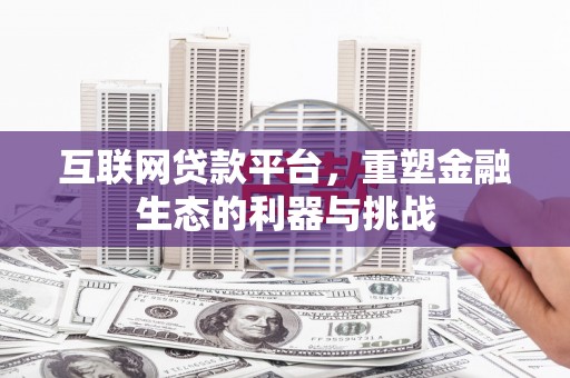 二仑互联网贷款平台，重塑金融生态的利器与挑战