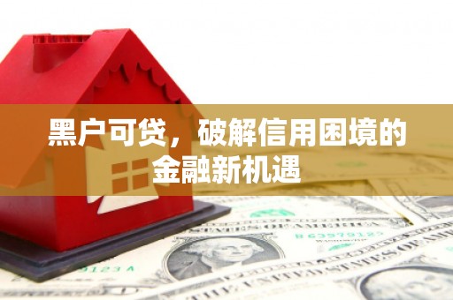 二仑黑户可贷，破解信用困境的金融新机遇