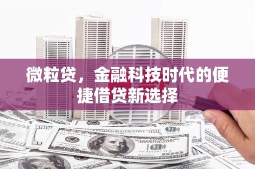 二仑微粒贷，金融科技时代的便捷借贷新选择