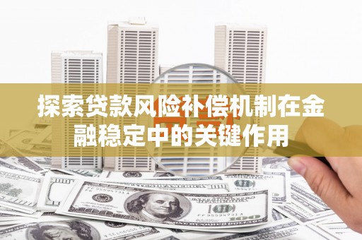二仑探索贷款风险补偿机制在金融稳定中的关键作用