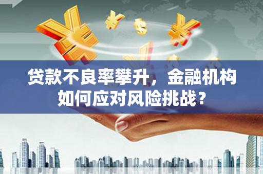 二仑贷款不良率攀升，金融机构如何应对风险挑战？