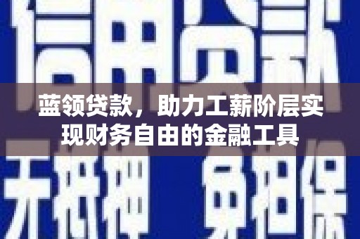 二仑蓝领贷款，助力工薪阶层实现财务自由的金融工具