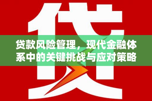 二仑贷款风险管理，现代金融体系中的关键挑战与应对策略