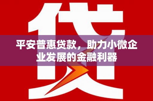 二仑平安普惠贷款，助力小微企业发展的金融利器