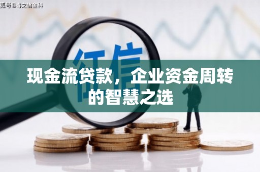 二仑现金流贷款，企业资金周转的智慧之选