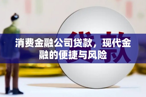 二仑消费金融公司贷款，现代金融的便捷与风险