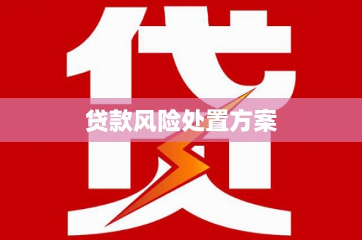二仑贷款风险处置方案