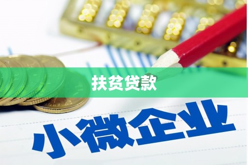 二仑扶贫贷款