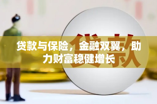 二仑贷款与保险，金融双翼，助力财富稳健增长