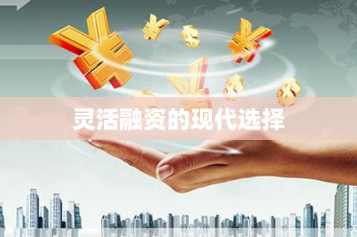 二仑灵活融资的现代选择