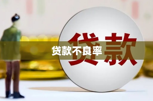 二仑贷款不良率