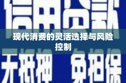 二仑现代消费的灵活选择与风险控制