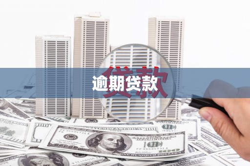 二仑逾期贷款