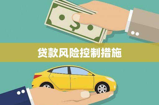 二仑贷款风险控制措施