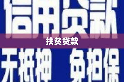 二仑扶贫贷款