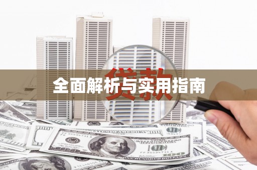 二仑全面解析与实用指南