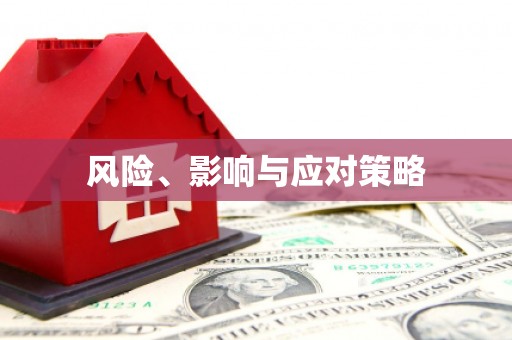 二仑风险、影响与应对策略