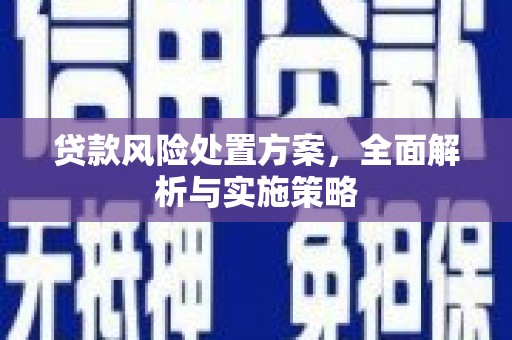 二仑贷款风险处置方案，全面解析与实施策略