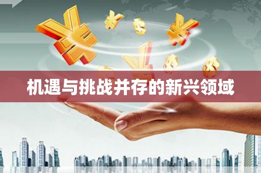 二仑机遇与挑战并存的新兴领域