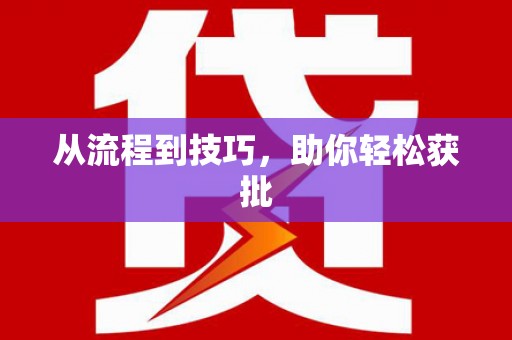 二仑从流程到技巧，助你轻松获批