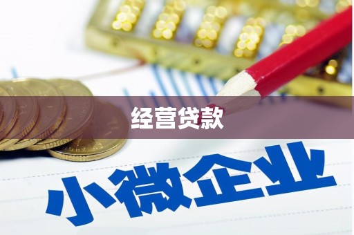 二仑经营贷款