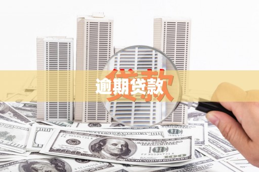 二仑逾期贷款