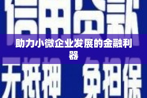 二仑助力小微企业发展的金融利器