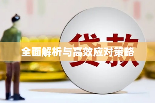二仑全面解析与高效应对策略