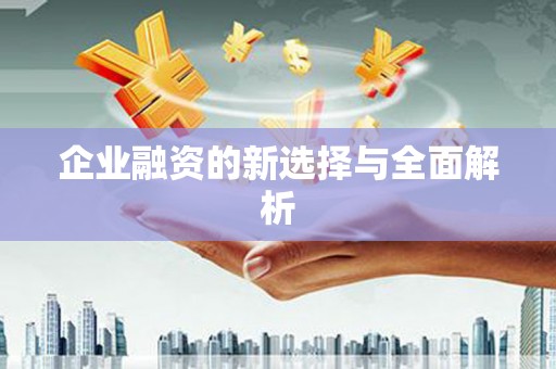 二仑企业融资的新选择与全面解析