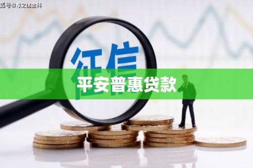 二仑平安普惠贷款