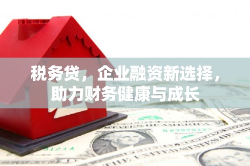 二仑税务贷，企业融资新选择，助力财务健康与成长
